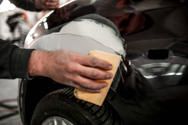Best Mold Documentation for Insurance Claims  in Punta Gorda, FL